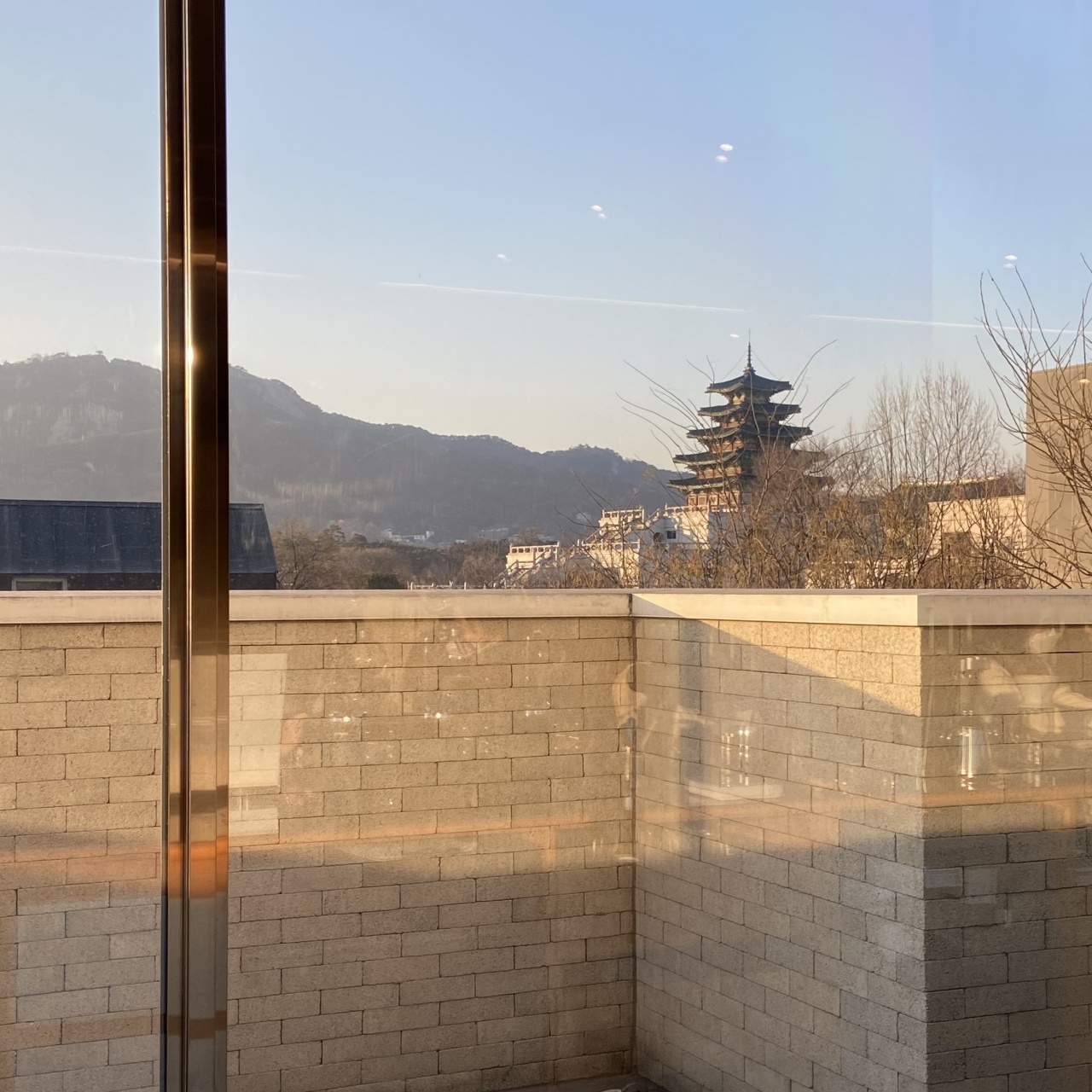 블루보틀 삼청 카페 매장 방문 후 남겨주신 고객 리뷰 사진입니다.