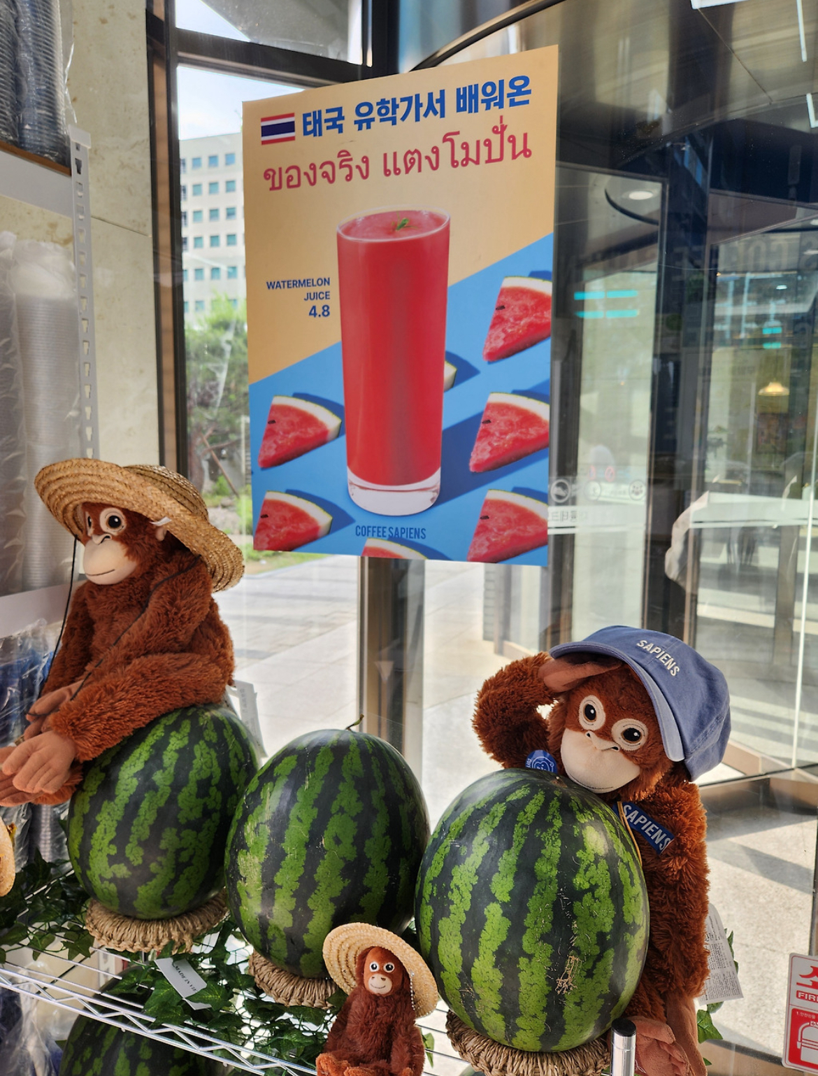 커피사피엔스 삼환하이펙스점 매장 방문 후 남겨주신 고객 리뷰 사진입니다.