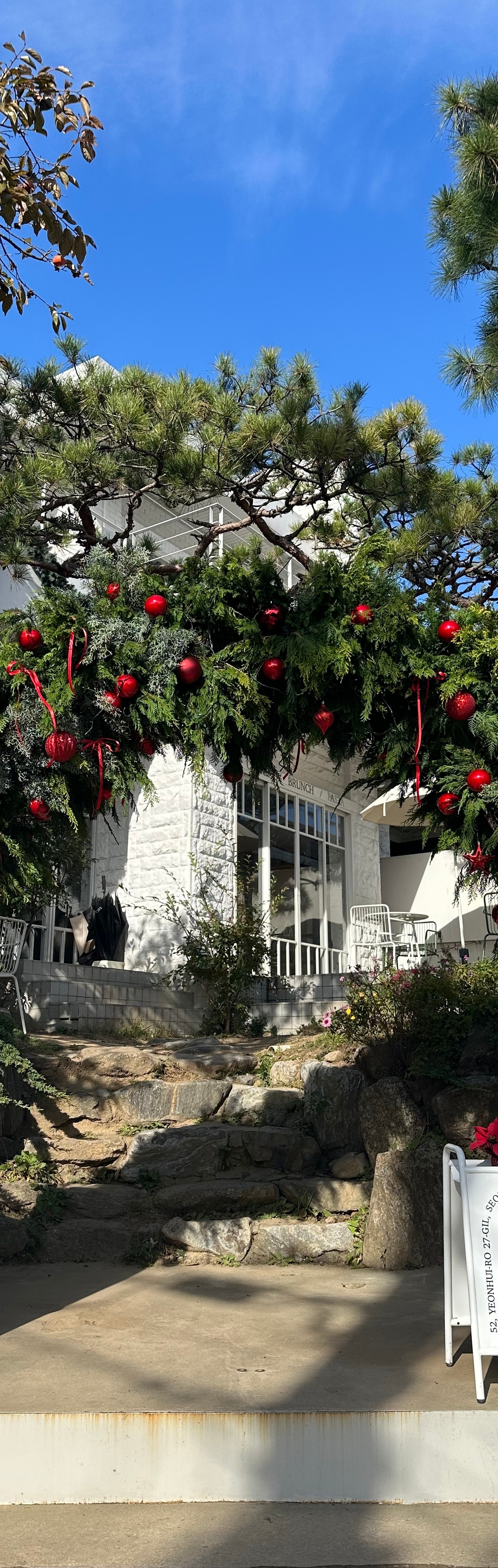 출처 : 식신 회원 '김주형' 님의 리뷰 이미지
