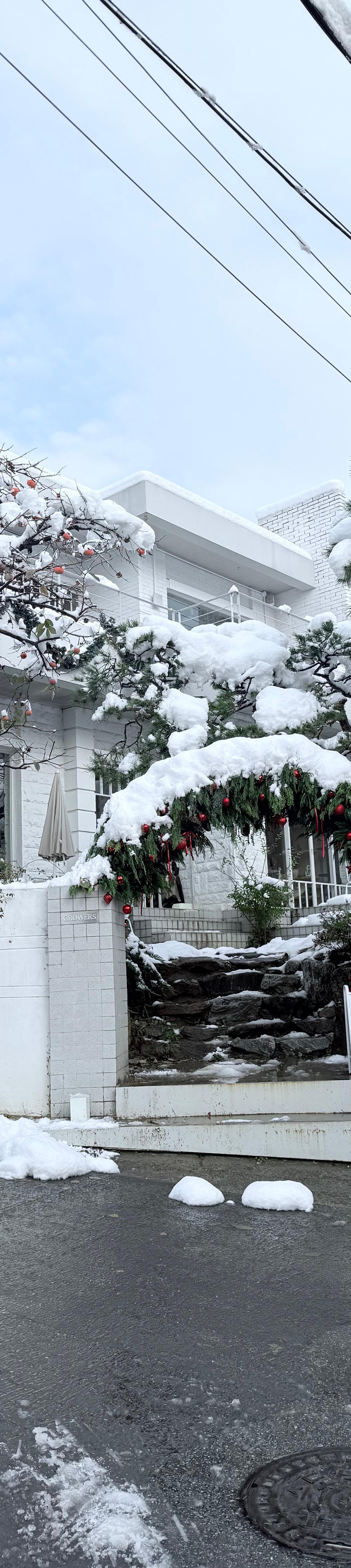 출처 : 식신 회원 '이영길' 님의 리뷰 이미지