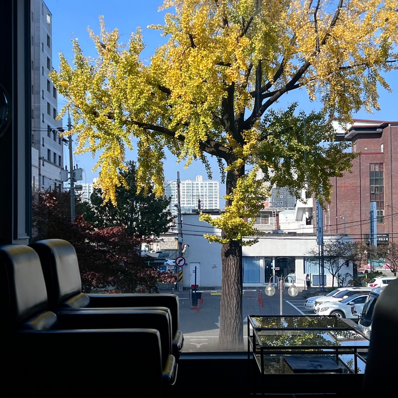 서브2
