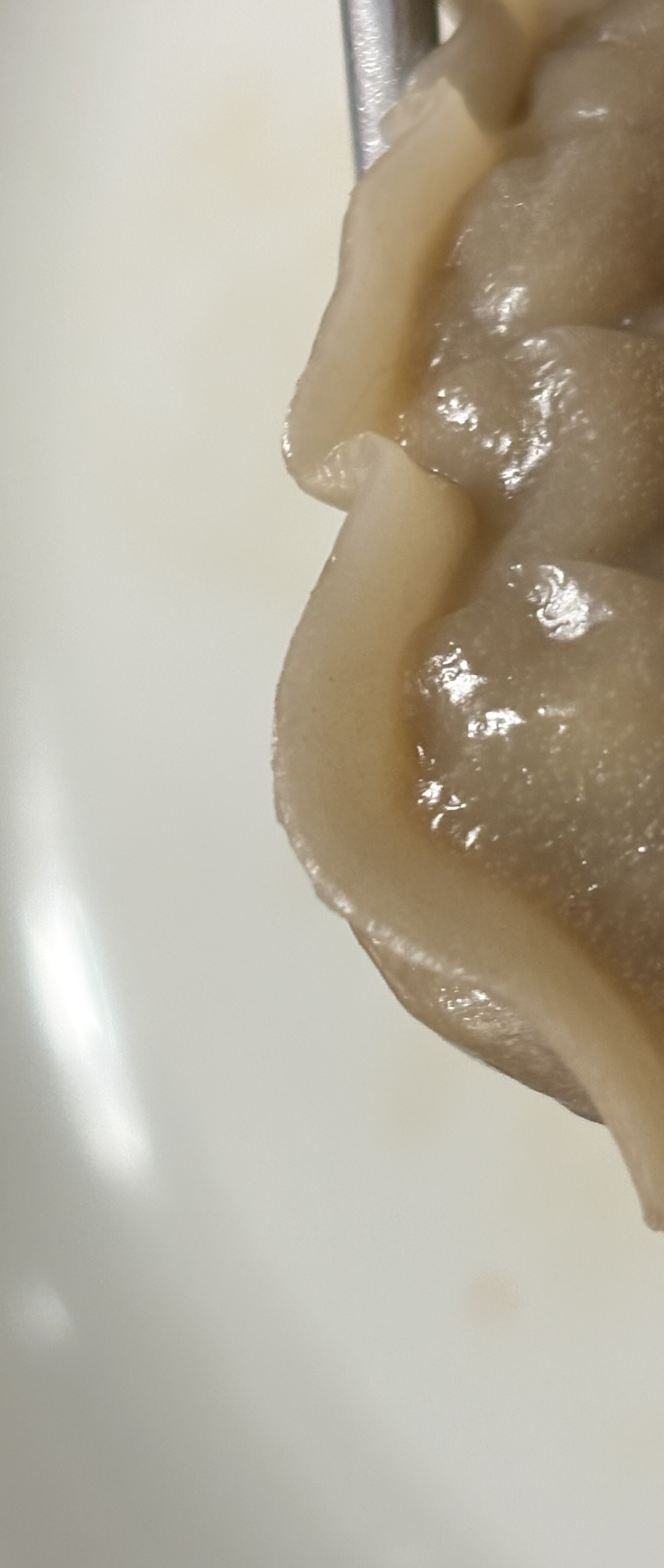 출처 : 식신 회원 '이은성' 님의 리뷰 이미지