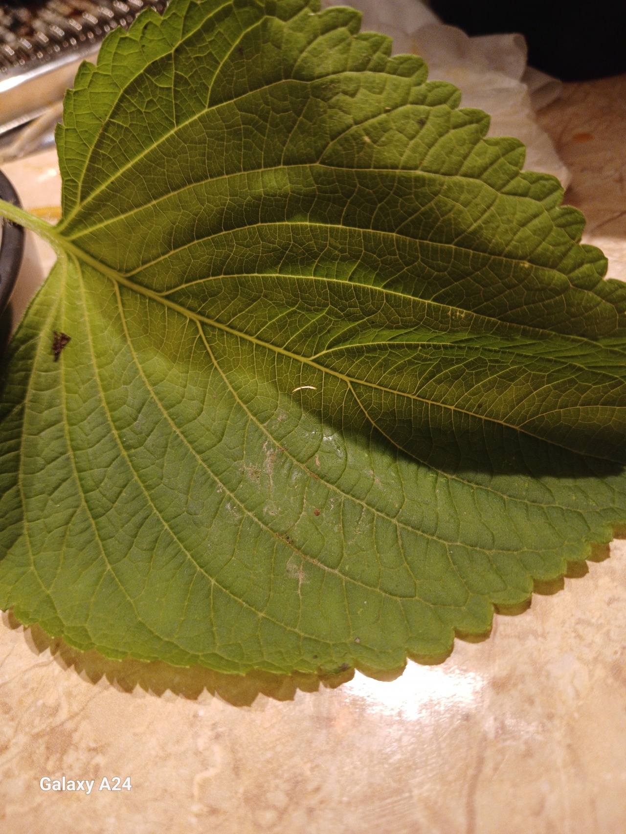 구사육식당 사상본점