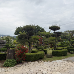 place_img
