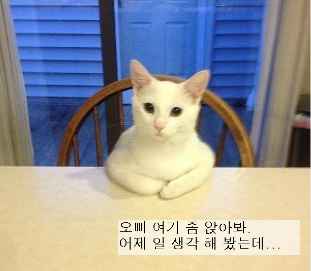 프로필