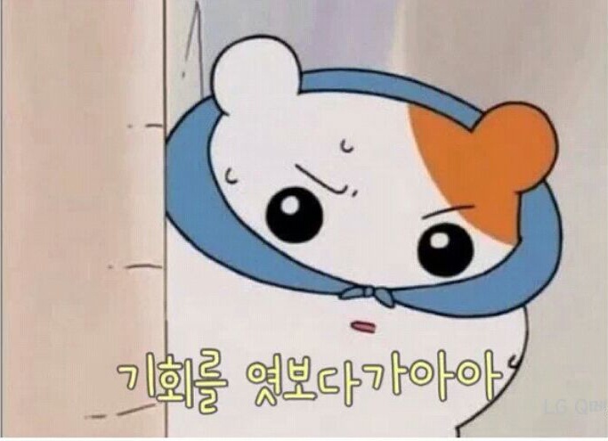 프로필