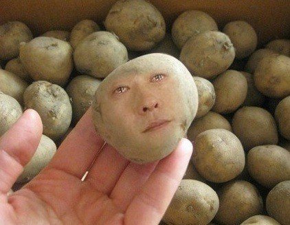 프로필