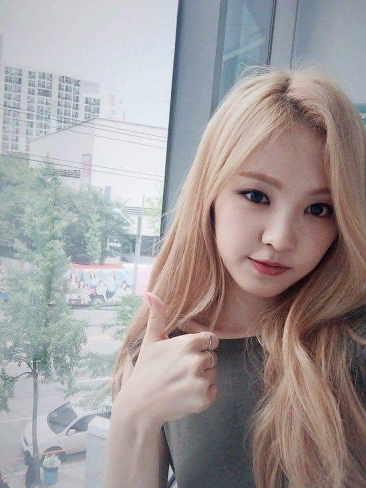 프로필