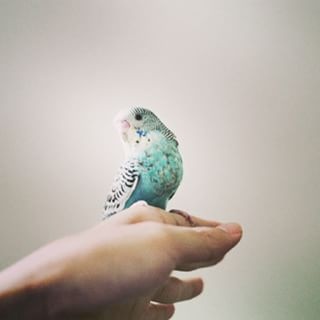 프로필