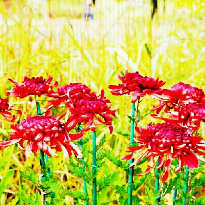 프로필