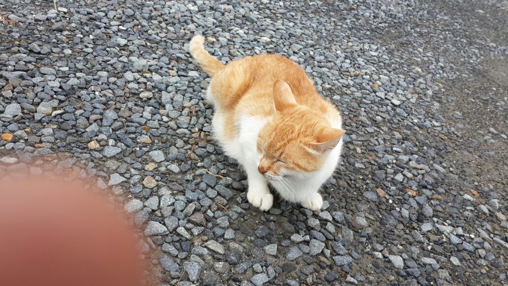 프로필