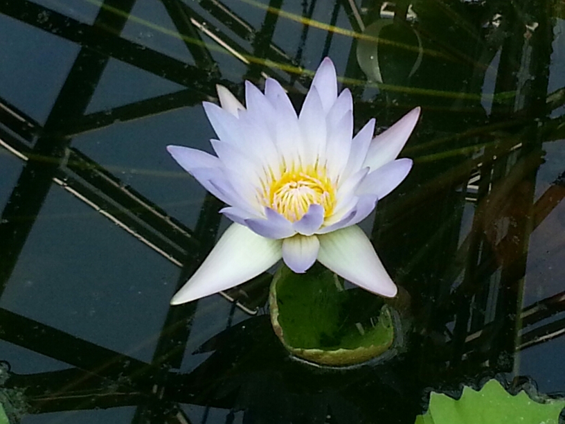 프로필