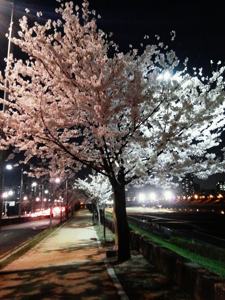 프로필