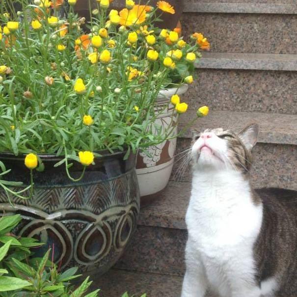 프로필