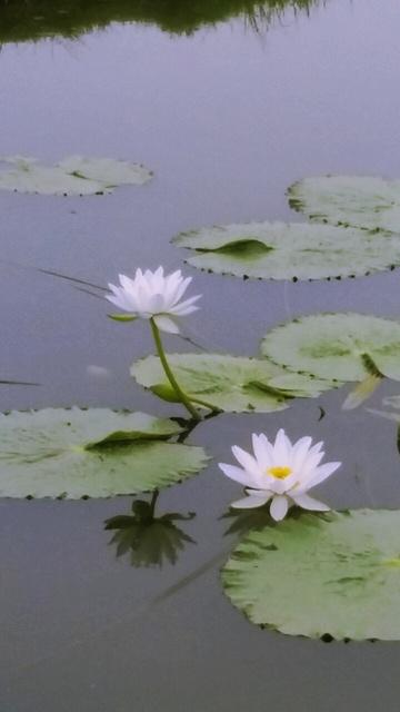 프로필