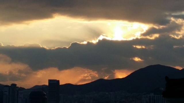 프로필