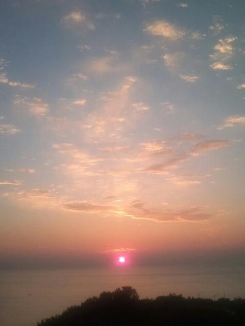 프로필