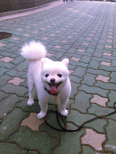 프로필