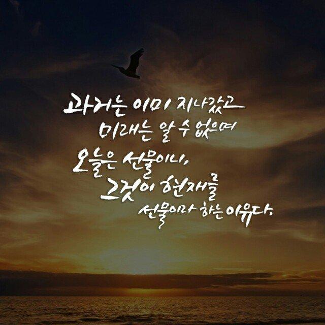 프로필