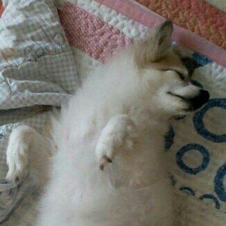 프로필