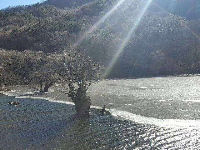 프로필