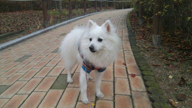 프로필