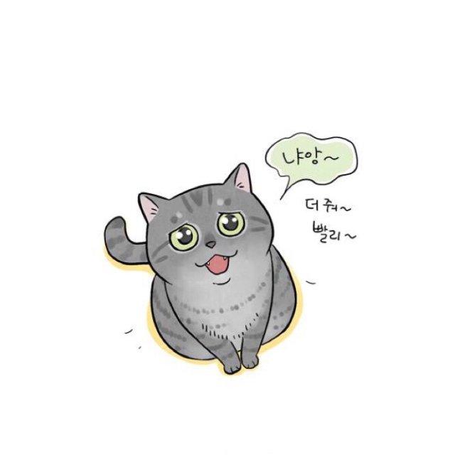 프로필