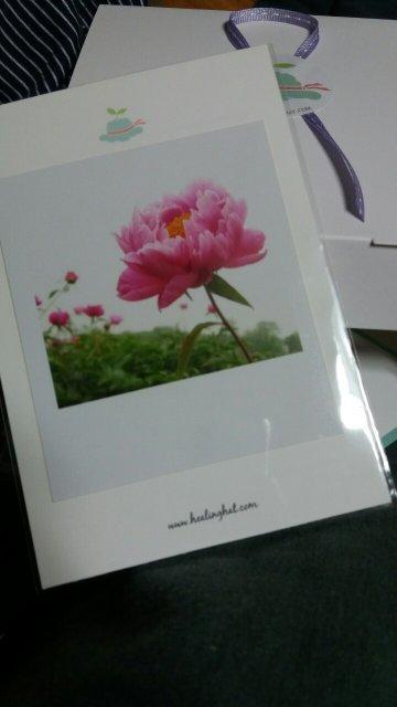 프로필