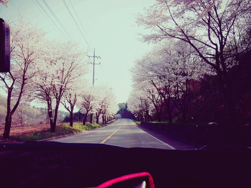 프로필