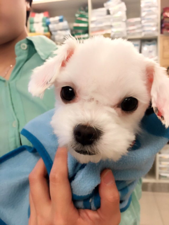프로필