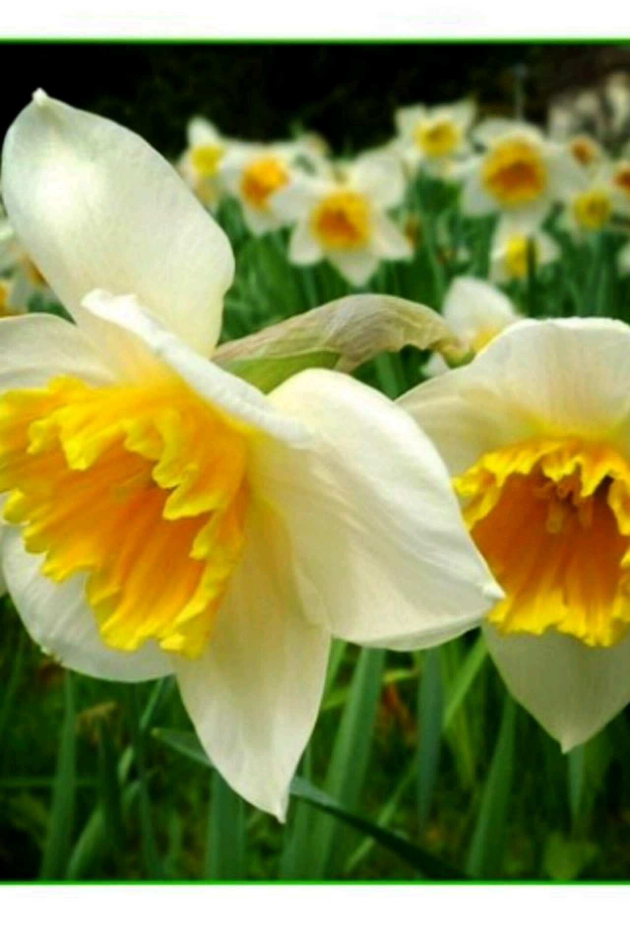 프로필