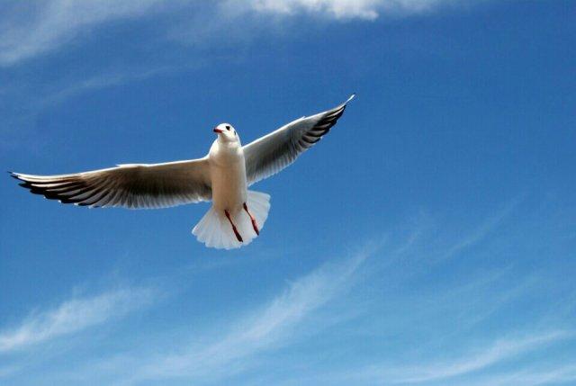 프로필
