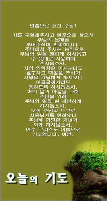 프로필
