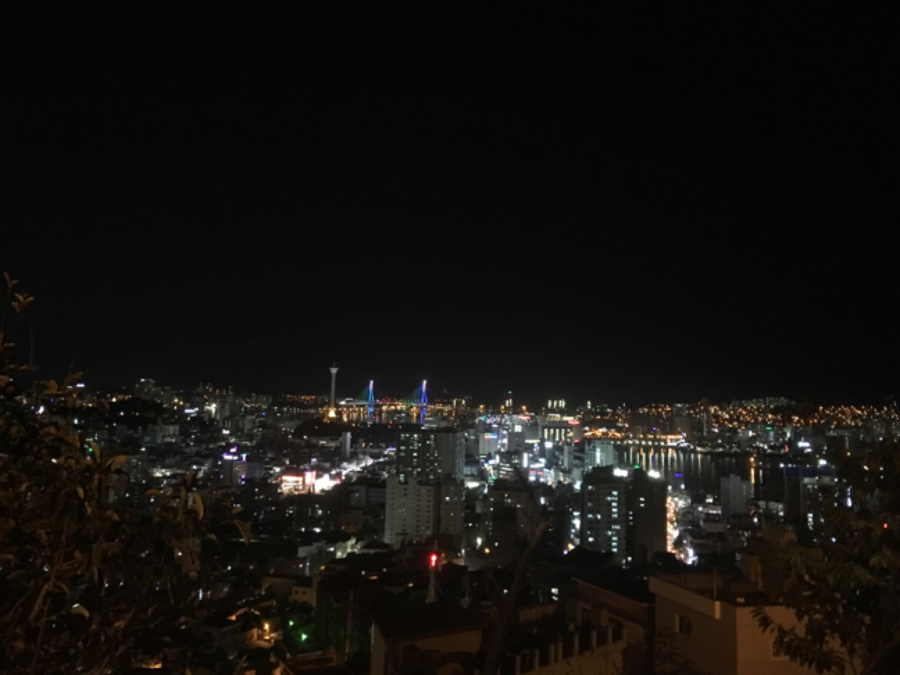 프로필