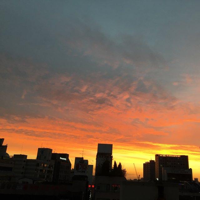 프로필