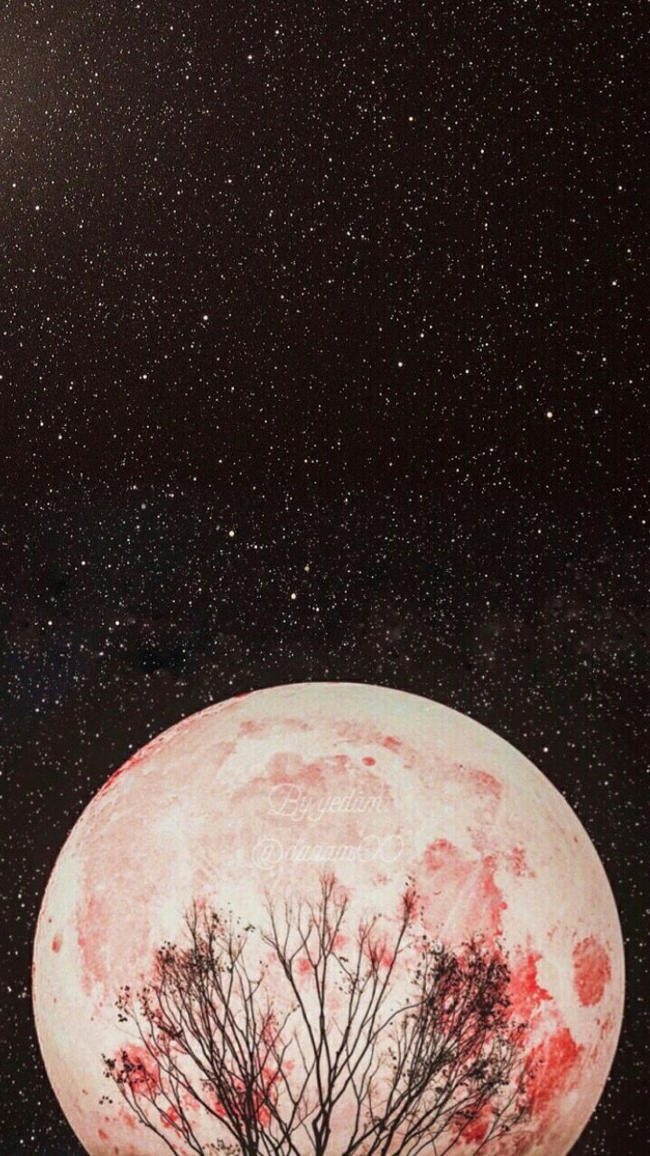 프로필