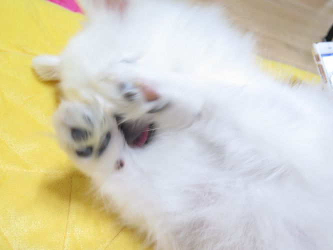 프로필
