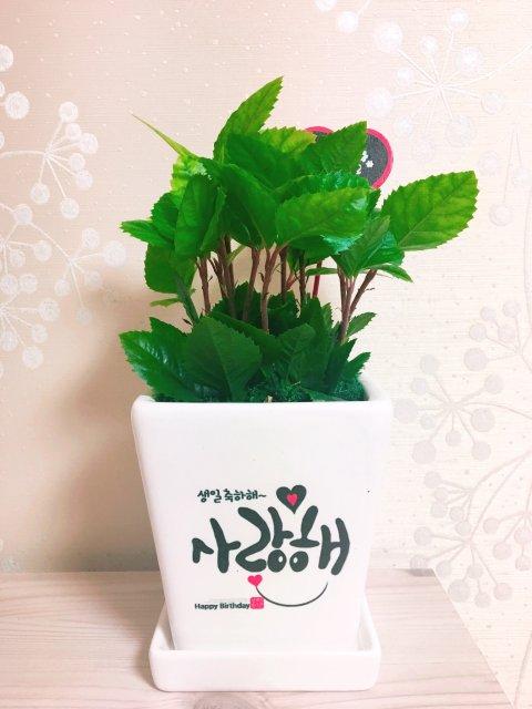 프로필