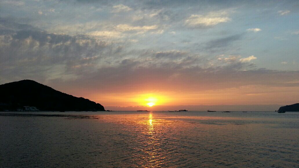 프로필