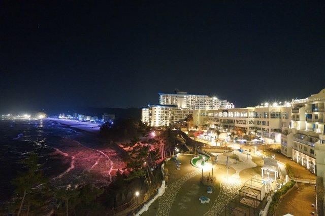 프로필