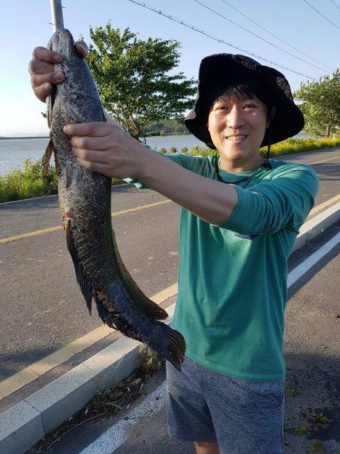 프로필