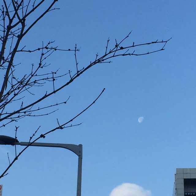 프로필