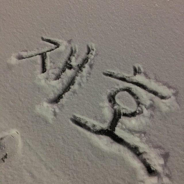 프로필