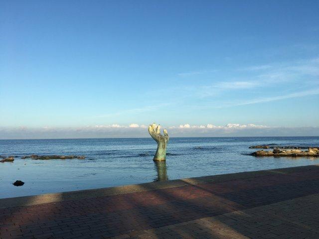 프로필