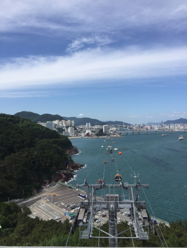 프로필