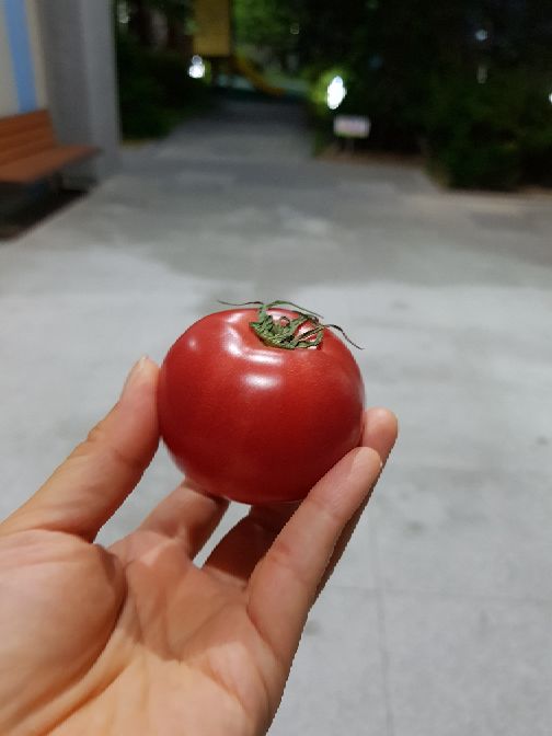 프로필