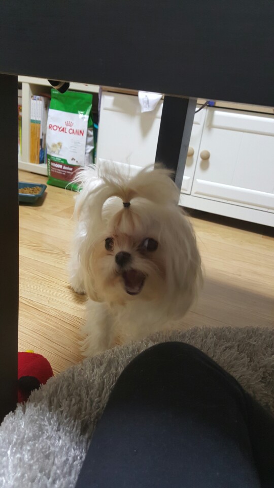 프로필