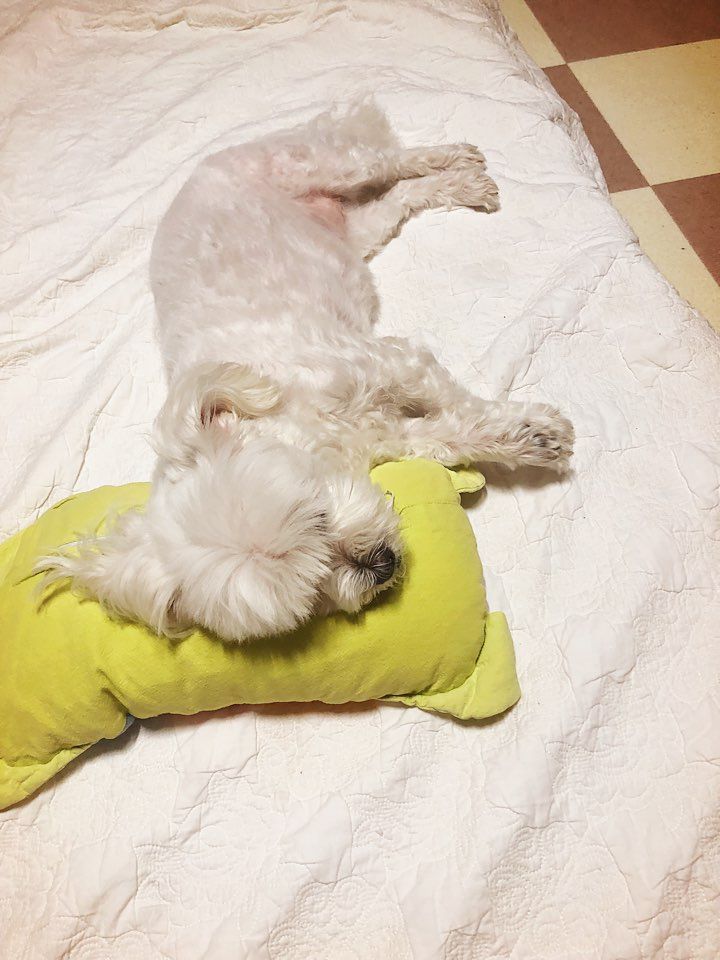 프로필