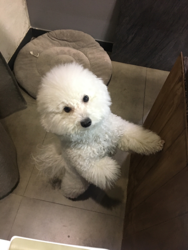 프로필