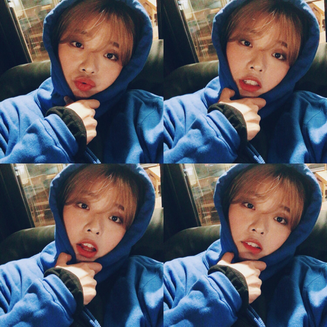 프로필
